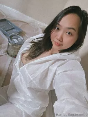 harrietsugarcookie / hsugarcookie / iamharrietsugarcookie nude photo #0286