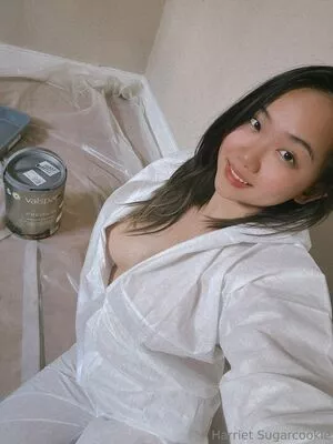 harrietsugarcookie / hsugarcookie / iamharrietsugarcookie nude photo #0287