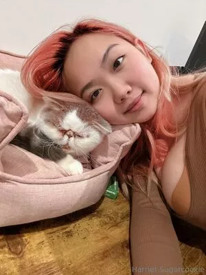harrietsugarcookie / hsugarcookie / iamharrietsugarcookie nude photo #0407