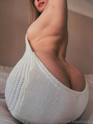 harrietsugarcookie / hsugarcookie / iamharrietsugarcookie nude photo #0457