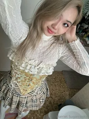 harrietsugarcookie / hsugarcookie / iamharrietsugarcookie nude photo #0484