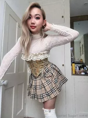 harrietsugarcookie / hsugarcookie / iamharrietsugarcookie nude photo #0487