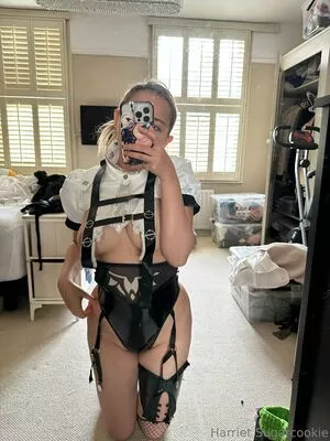 harrietsugarcookie / hsugarcookie / iamharrietsugarcookie nude photo #0531