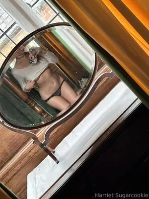 harrietsugarcookie / hsugarcookie / iamharrietsugarcookie nude photo #0570