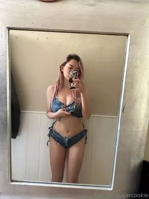 harrietsugarcookie / hsugarcookie / iamharrietsugarcookie nude photo #0573