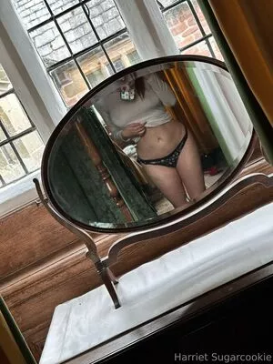 harrietsugarcookie / hsugarcookie / iamharrietsugarcookie nude photo #0576