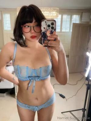 harrietsugarcookie / hsugarcookie / iamharrietsugarcookie nude photo #0579