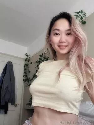 harrietsugarcookie / hsugarcookie / iamharrietsugarcookie nude photo #0636