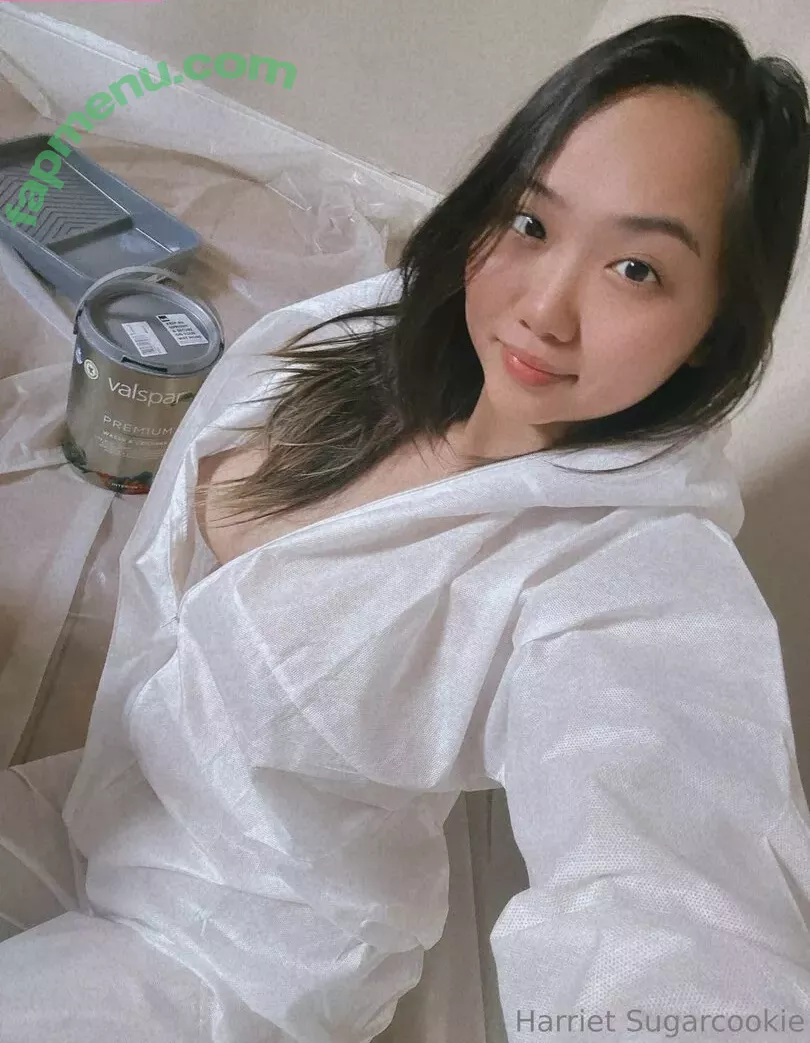 harrietsugarcookie nude photo #0286 (hsugarcookie / iamharrietsugarcookie)