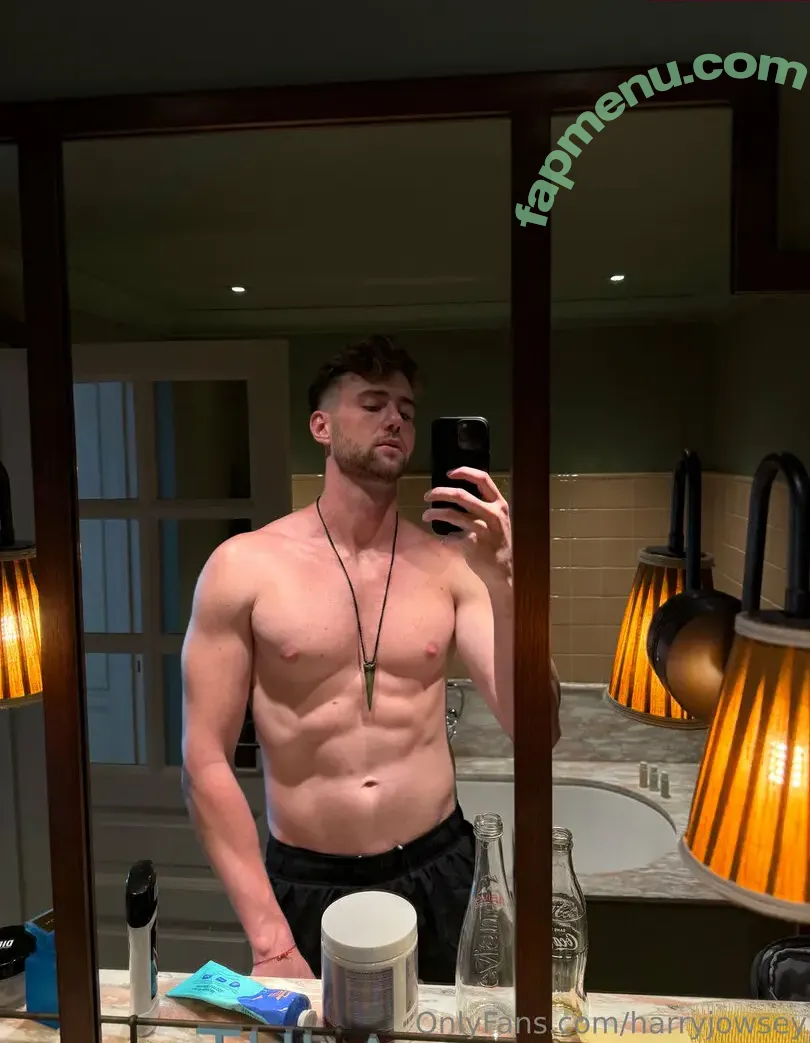 harryjowsey nude photo #0002 (harryjowsey)