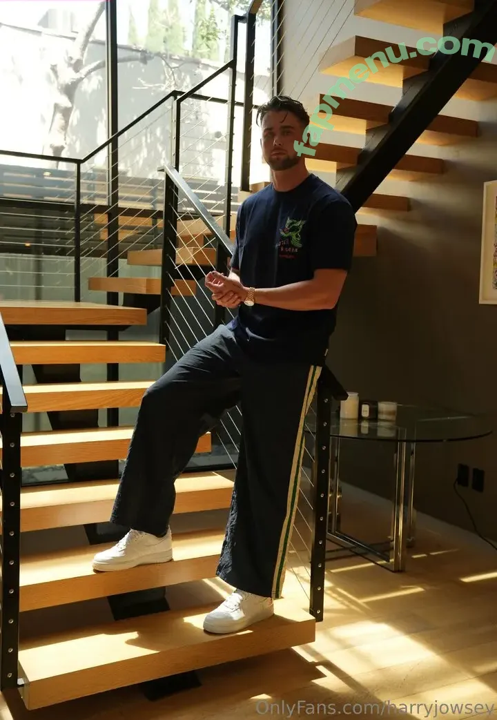 harryjowsey nude photo #0001 (harryjowsey)