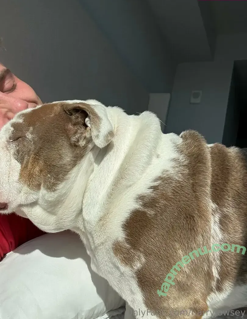 harryjowsey nude photo #0010 (harryjowsey)