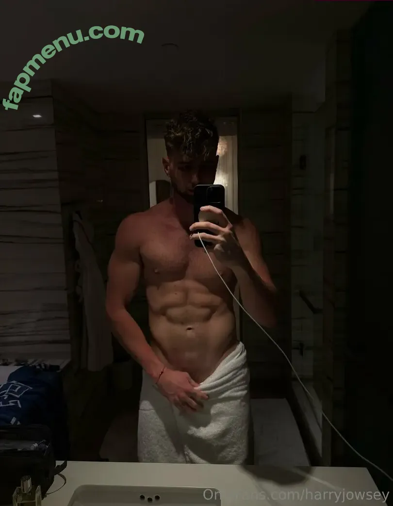 harryjowsey nude photo #0011 (harryjowsey)