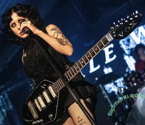 Heather Baron-Gracie / heatherbarongracie nude photo #0172