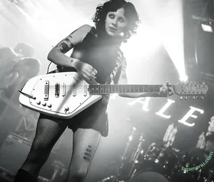 Heather Baron-Gracie / heatherbarongracie nude photo #0175