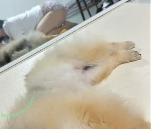 Heeheemoon / moon_nyang_ / xailormoon nude photo #0131