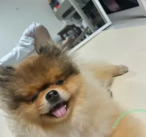 Heeheemoon / moon_nyang_ / xailormoon nude photo #0132