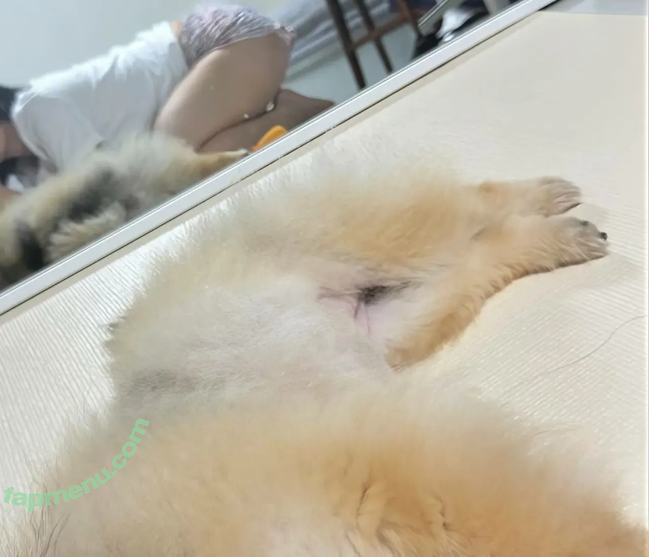 Heeheemoon nude photo #0131 (moon_nyang_ / xailormoon)