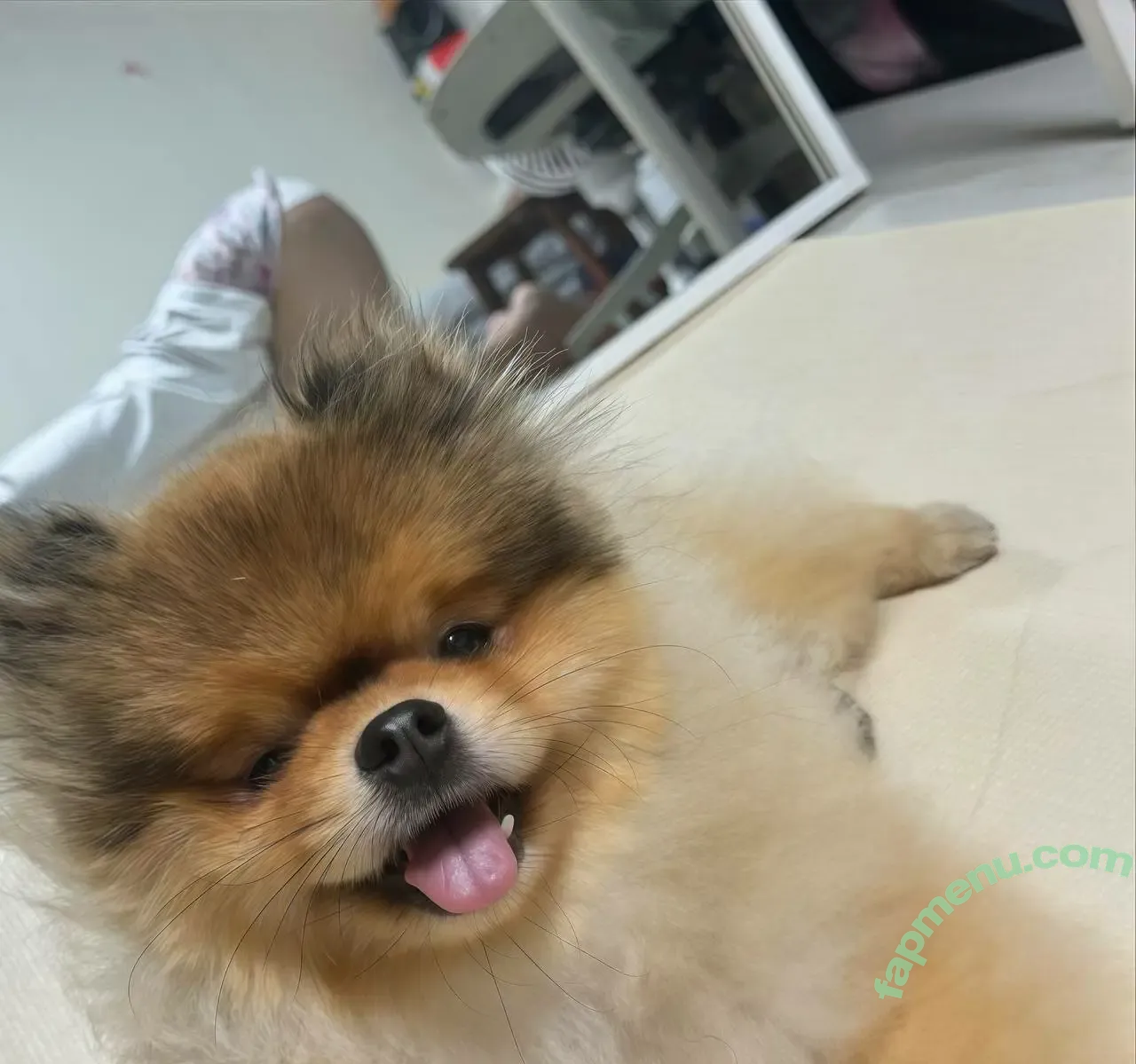 Heeheemoon nude photo #0132 (moon_nyang_ / xailormoon)