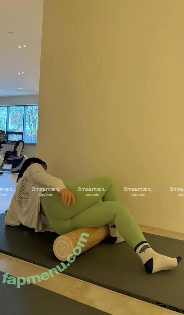 Heeheemoon nude photo #0243 (moon_nyang_ / xailormoon)