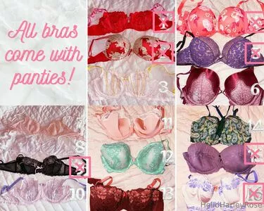 helloharleyrose / Harley Rose / harleyrose666 / hello.harleyrose nude photo #0212