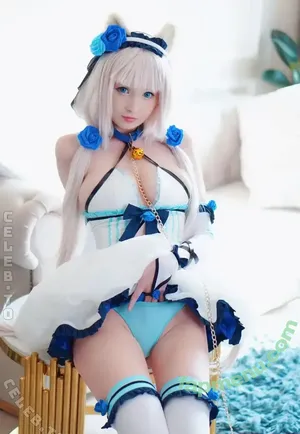 Hidori Rose / HidoriRose / Hidori_Rose / hidorirosecos nude photo #4229