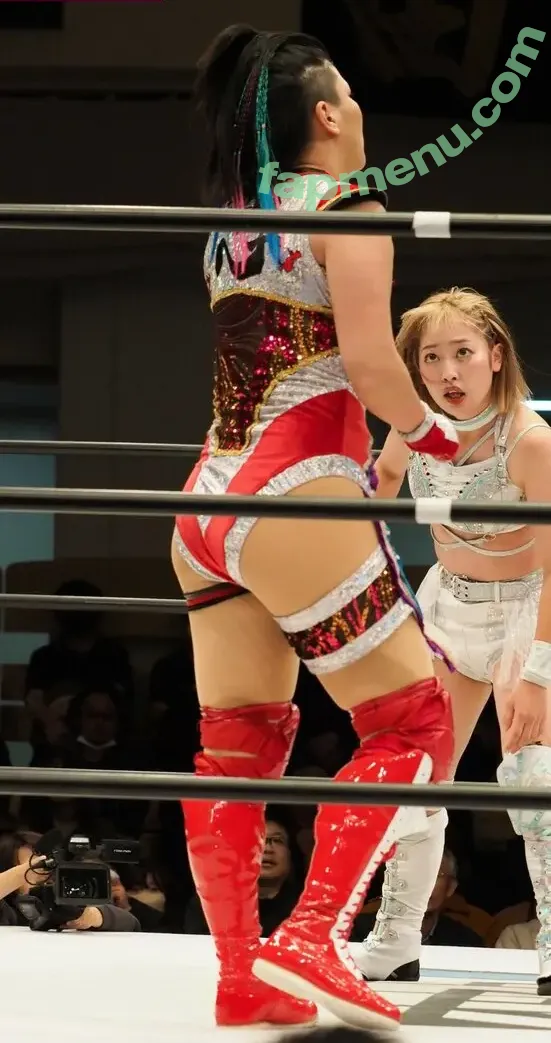 Hikaru Shida nude photo #0506 (shidahikaru)