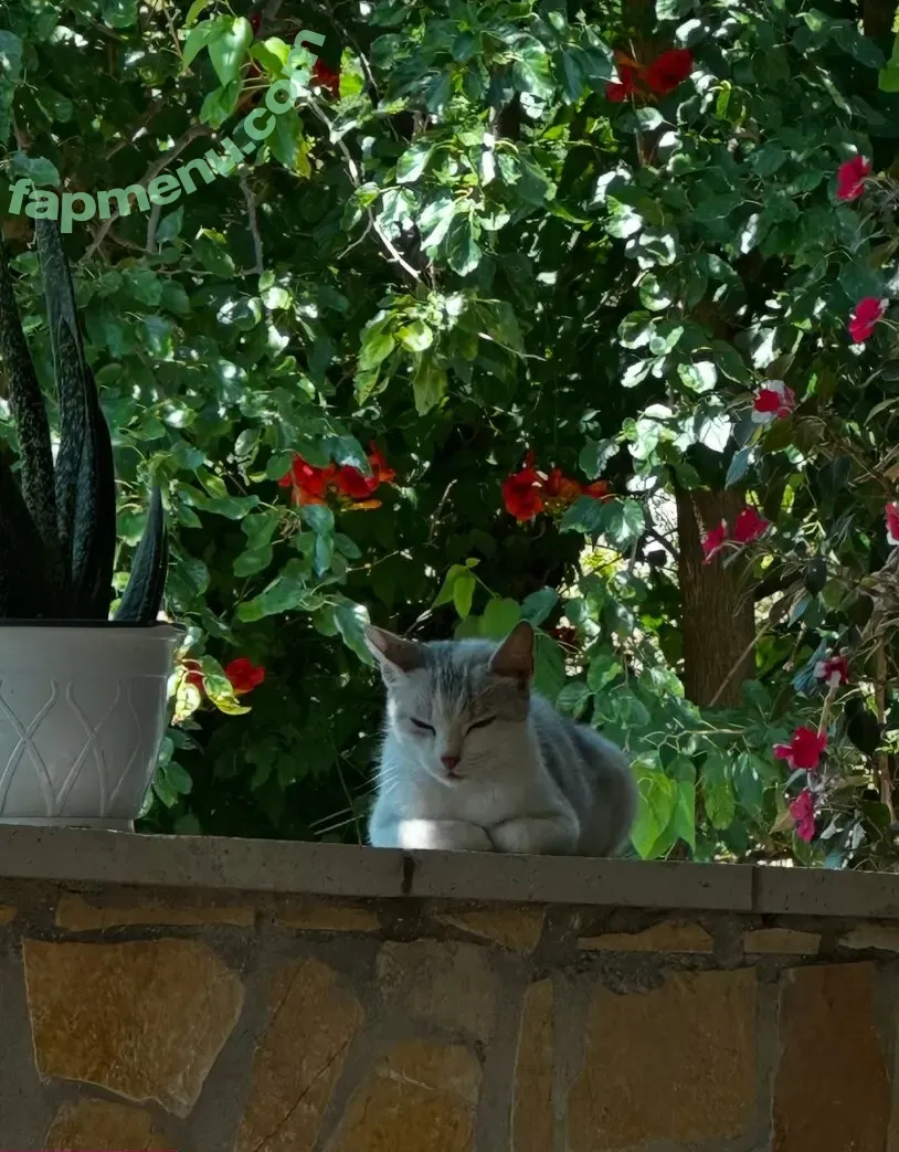 Hilda Kertalli nude photo #0069 (hildakertalli)