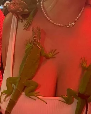 Holly Youpa / holly73103471 / hollyyoupa nude photo #0063