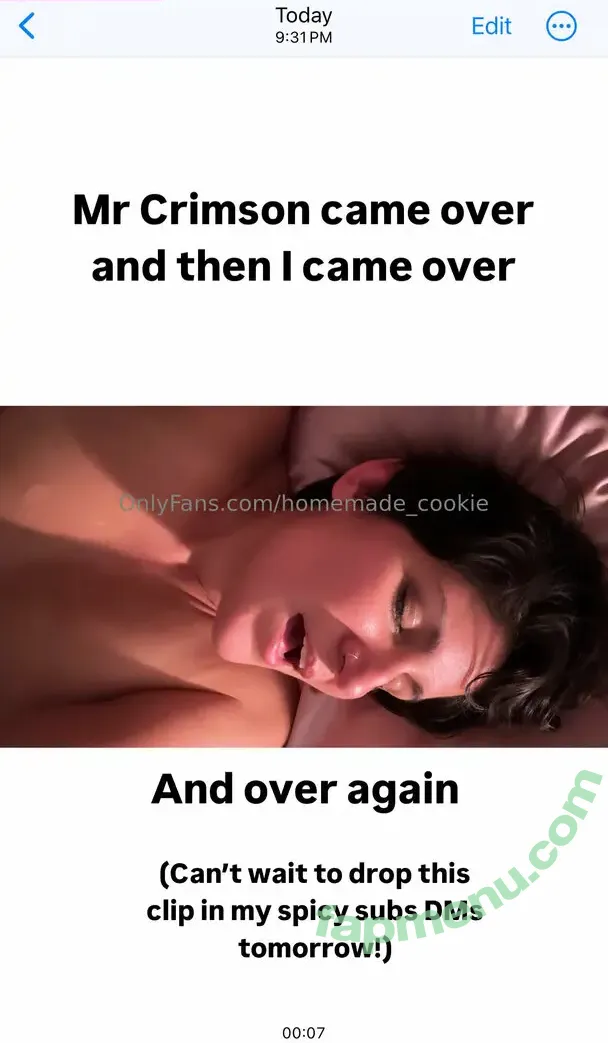 homemade_cookie nude photo #0051 (mar2yumz_cookies)