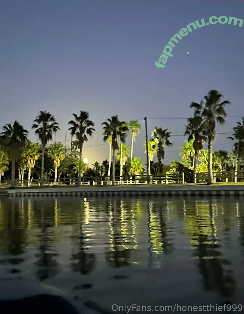 honestthief999 nude photo #0030 (honestthief999)