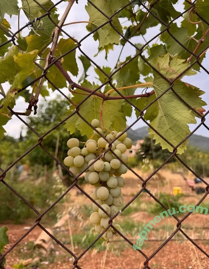 hotalex6 nude photo #0042 (alejopino88)