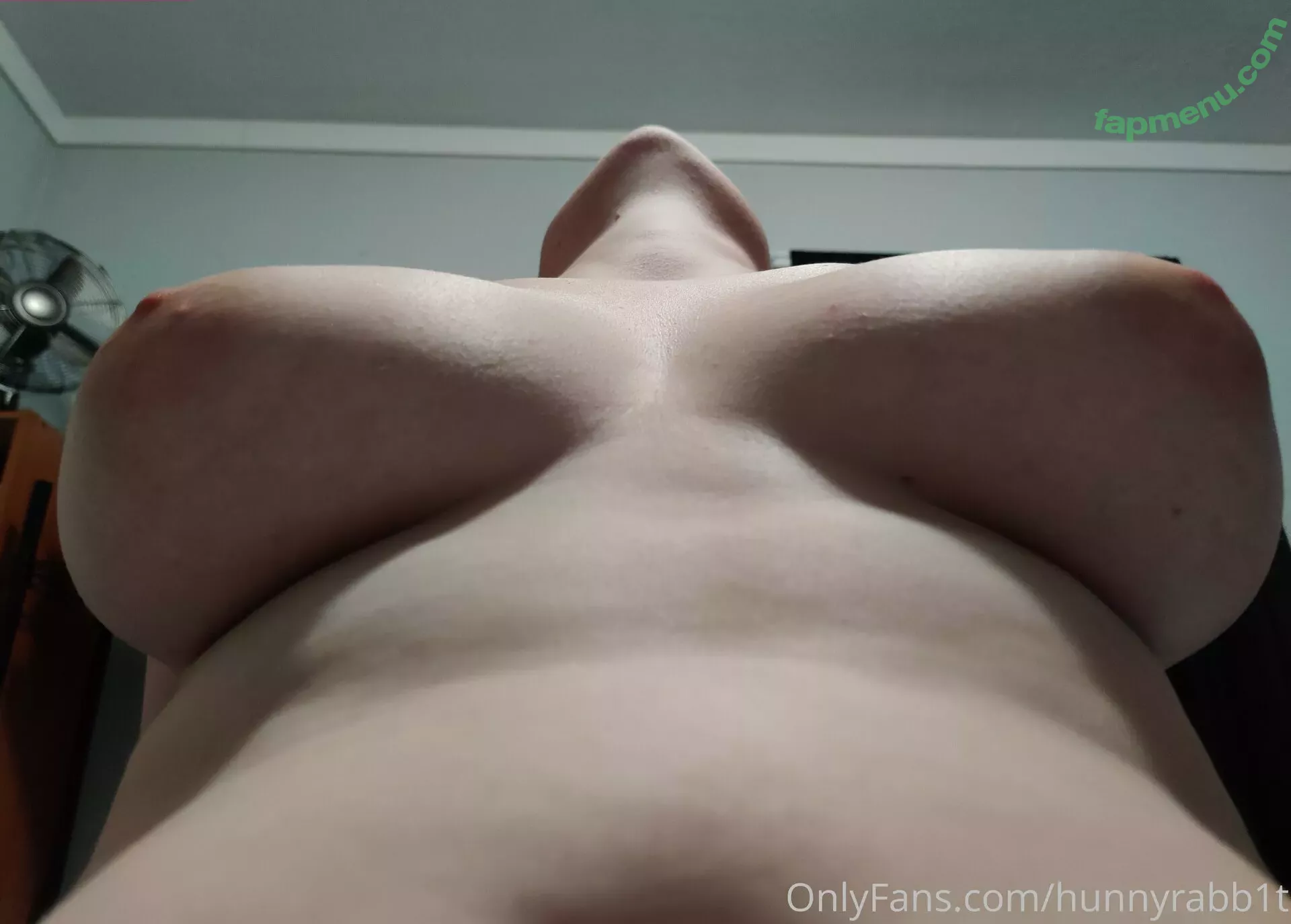 hunnyrabb1t nude photo #0006 (goldenxxbunny)
