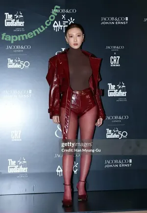 Hwasa / _mariahwasa nude photo #0021