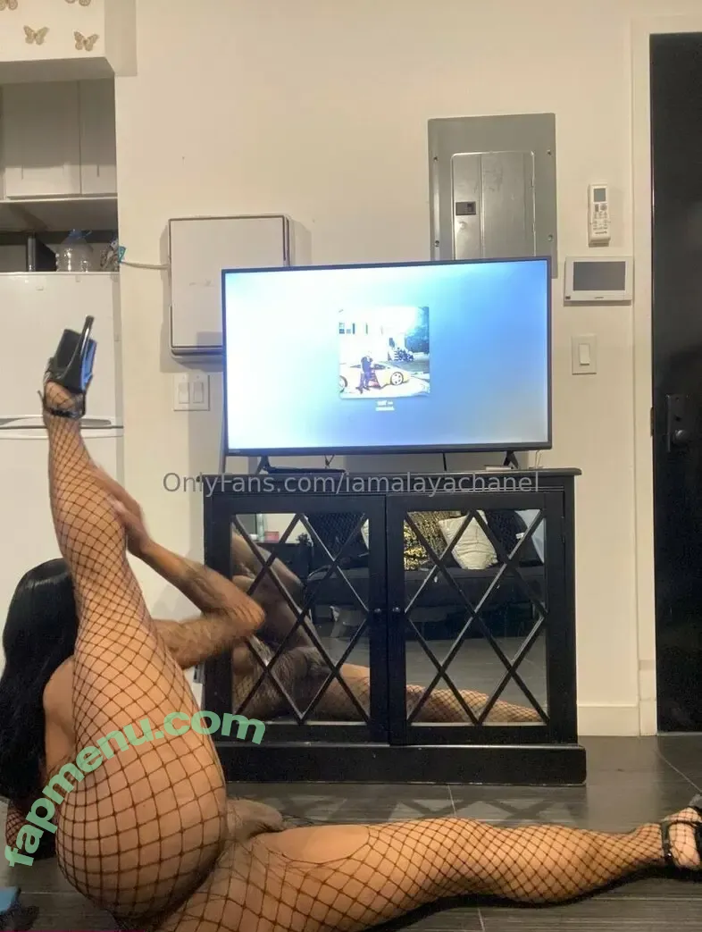 iamalayachanel nude photo #0027 (iamalayachanel)
