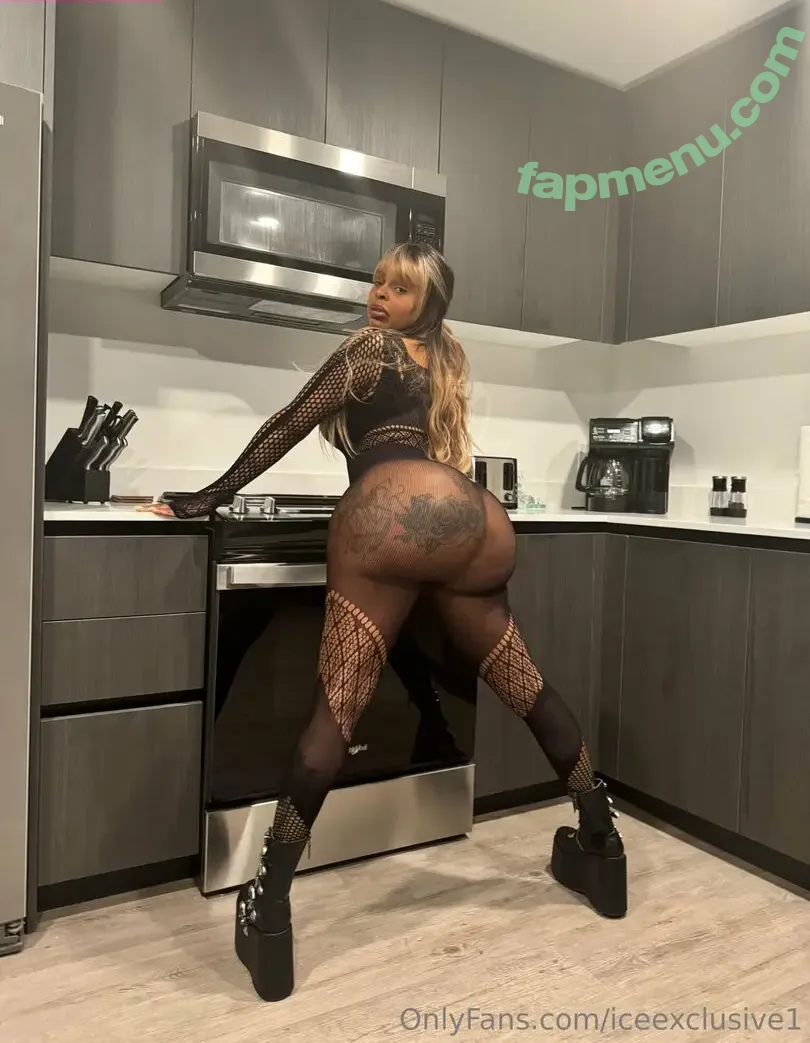 iceexclusive1 nude photo #0011 (theexclusivee1)