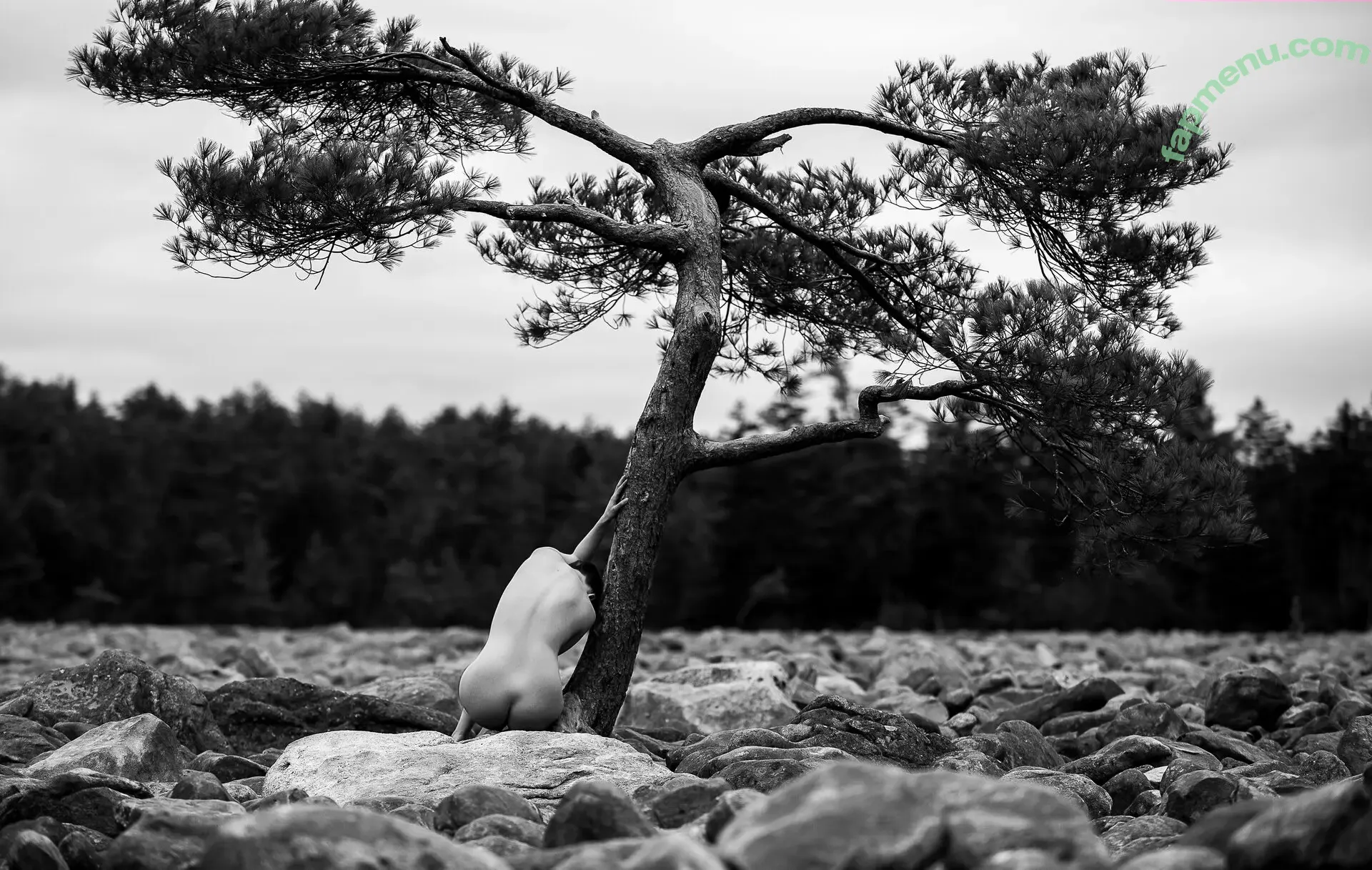 Icelandic Selkie nude photo #0259 (icelandicselkie / realmofhel.free)