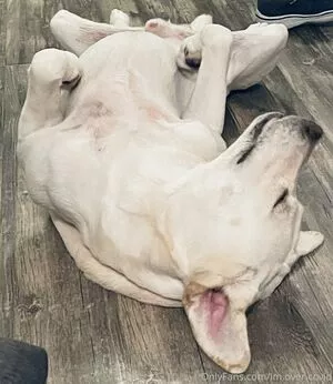 im.over.covid / imovercovid / maylee.covid nude photo #0086