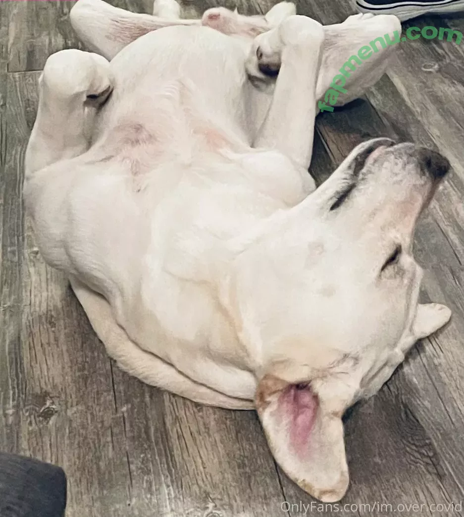 im.over.covid nude photo #0086 (imovercovid / maylee.covid)