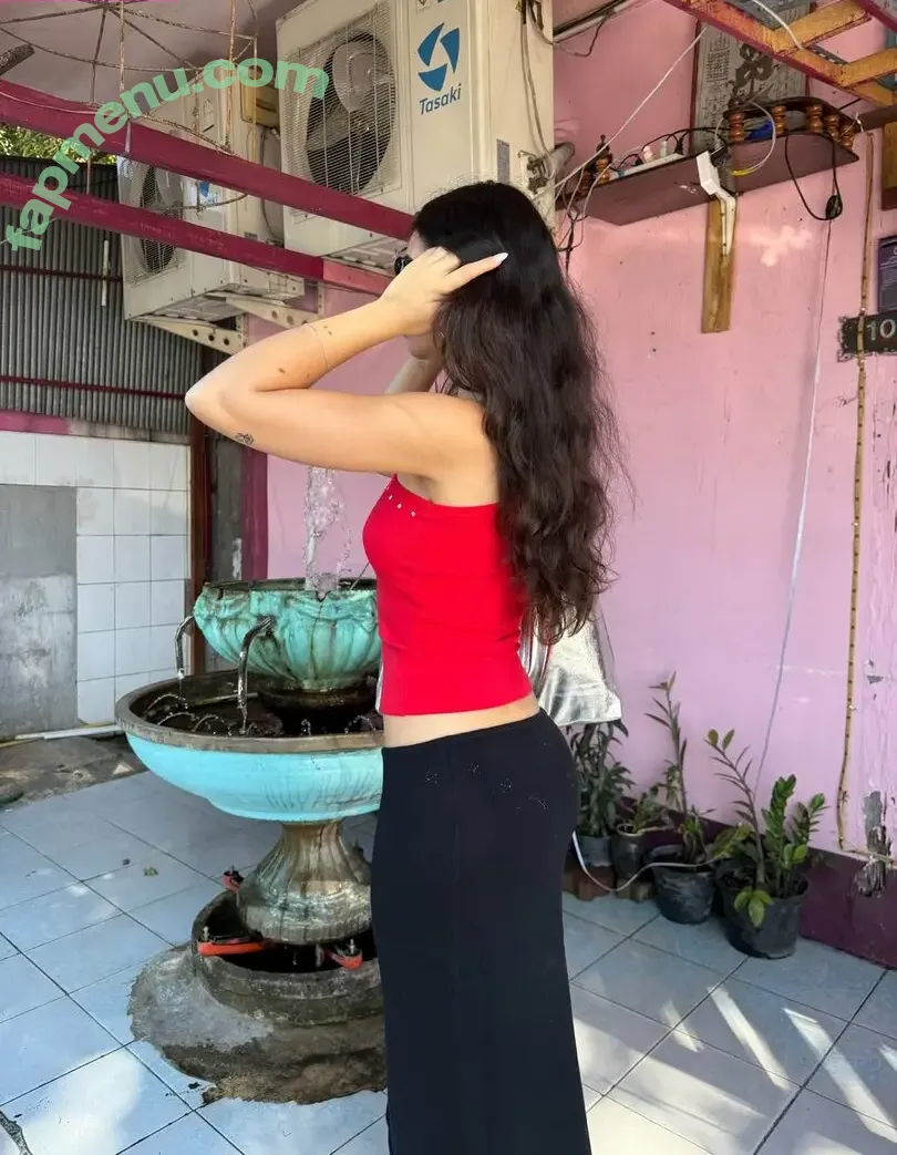 Inas Elashiry nude photo #0398 (inaselashiry)