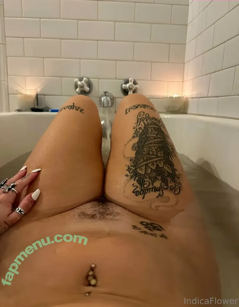 Indica Flower nude photo #0700 (indica.flower__ / indicaflower / indicaflower_ / indicaflowerxx / indicaflowerxxx)