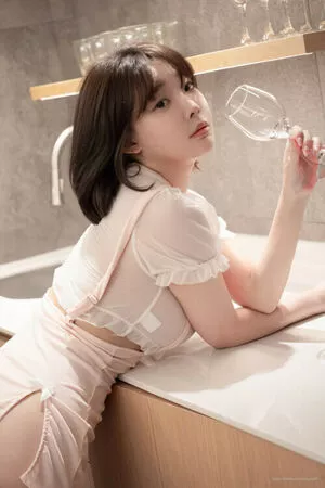 Inkyung / ero_inkyung / inkyung97 nude photo #2267