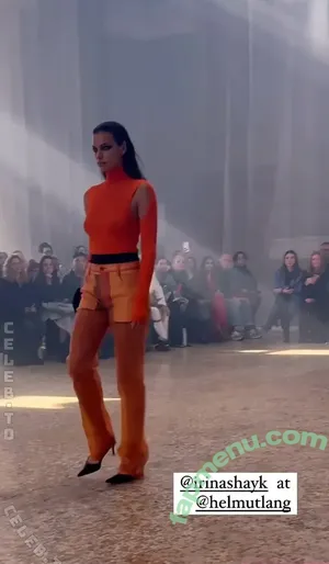 Irina Shayk / irinashayk / theirishayk nude photo #2405