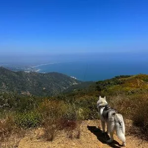 Isabella Lauren / isabella.lauren / isabellalaurenx nude photo #0290