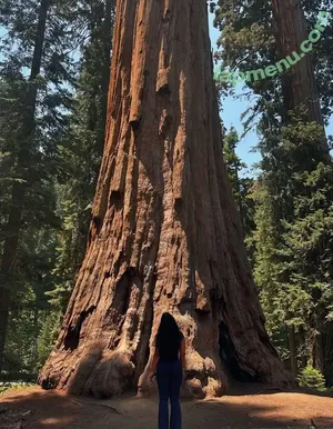 its.sri / sri1184 nude photo #0025