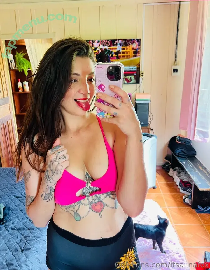 itsalinafox nude photo #0003 (itsalinafox)