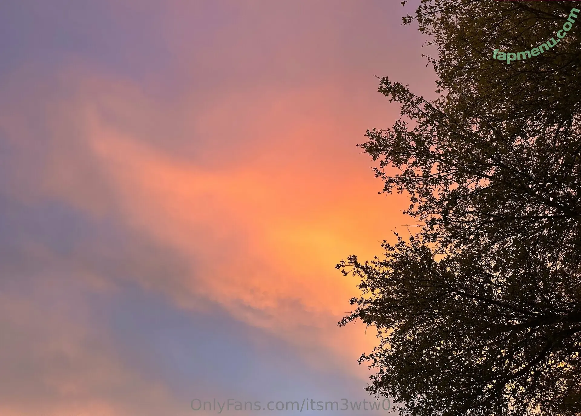 itsm3wtw0 nude photo #0079 (itsm3wtw0)