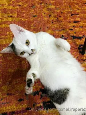 itsmekiraperez / actuallykiraperez nude photo #0007