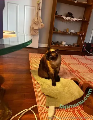 itsonlykarma / karma_est2024 nude photo #0020