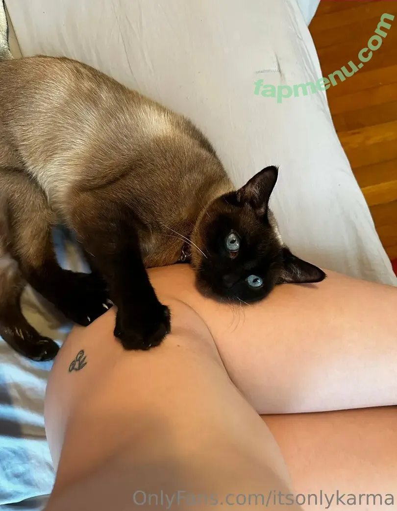 itsonlykarma nude photo #0032 (karma_est2024)